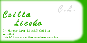 csilla licsko business card